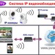 IP ���������������