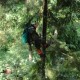 ������������ ������� �� ����-������� � ������ ����������