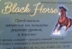  "Black Horse". .  