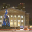 В Жуковском проводят аукцион по украшению новогодней елки