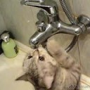 ������ ������� ������ ���������� ������ ����� ��� ���� ������ ������