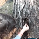������ ������ ��������� ������ �� ������ ������������� ��������